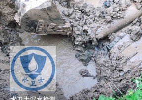 柘城水管漏水检测公司5